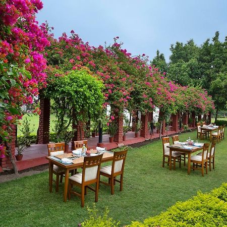 Naturoville Ayurvedic And Yoga Retreat Hotel Rishīkesh Eksteriør billede