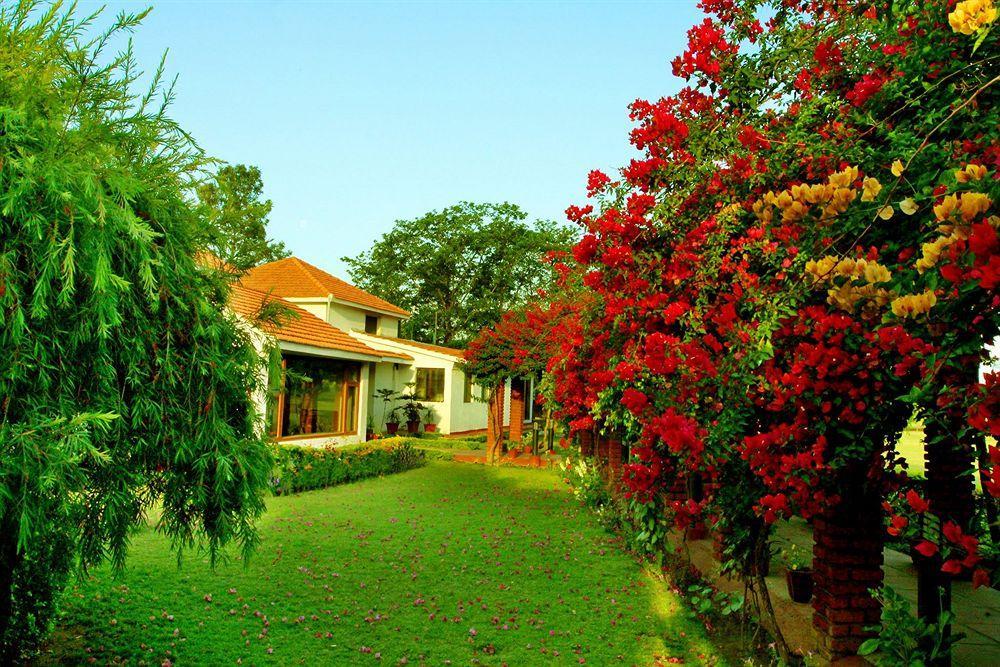Naturoville Ayurvedic And Yoga Retreat Hotel Rishīkesh Eksteriør billede