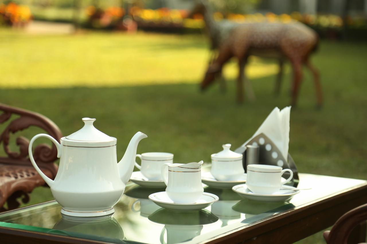 Naturoville Ayurvedic And Yoga Retreat Hotel Rishīkesh Eksteriør billede