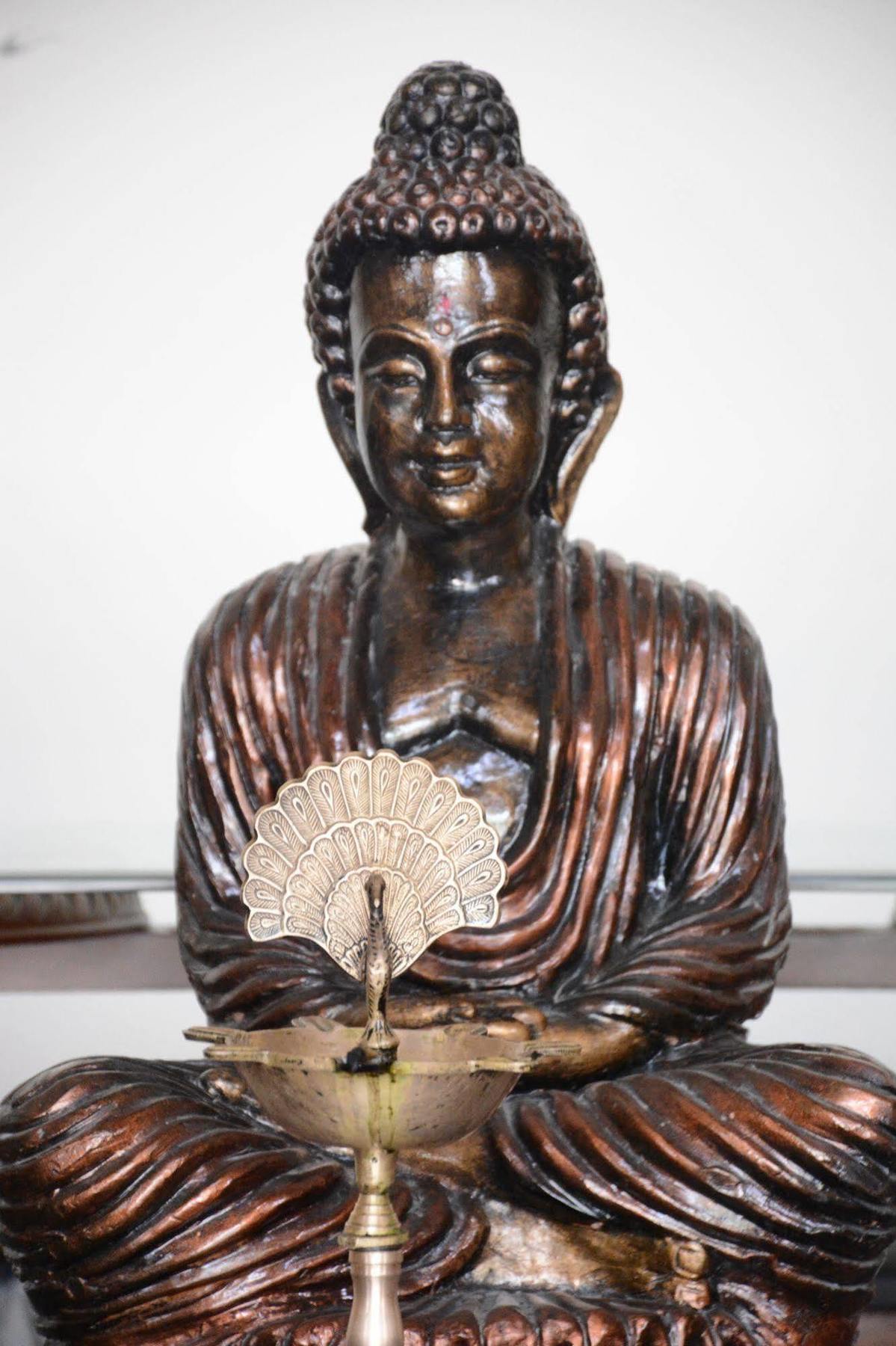 Naturoville Ayurvedic And Yoga Retreat Hotel Rishīkesh Eksteriør billede