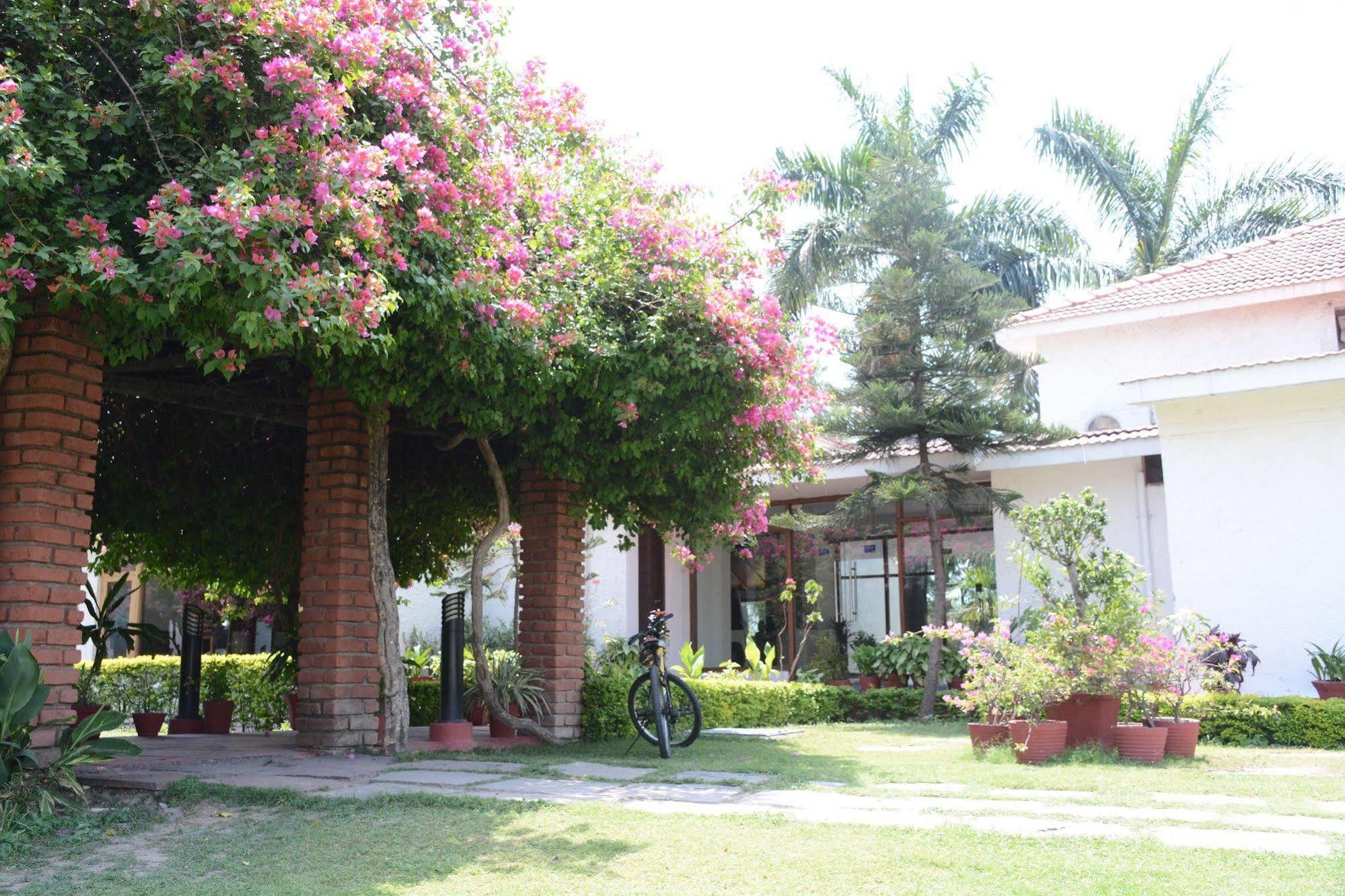 Naturoville Ayurvedic And Yoga Retreat Hotel Rishīkesh Eksteriør billede
