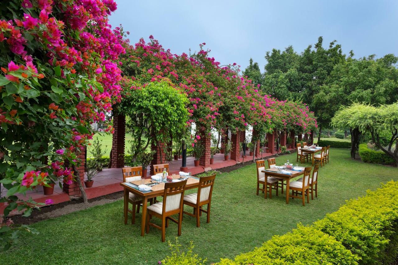 Naturoville Ayurvedic And Yoga Retreat Hotel Rishīkesh Eksteriør billede